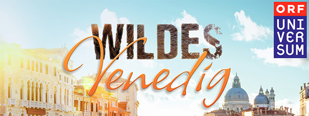 Wildes Venedig – Ultra HD