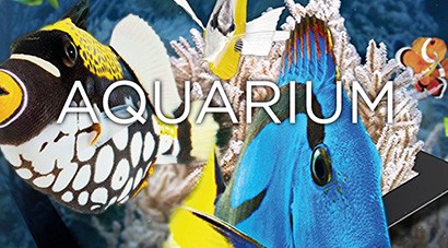 Aquarium – Ultra HD