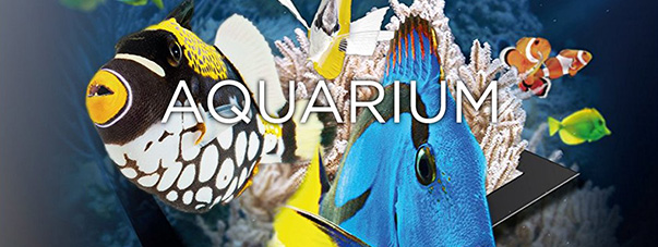 Aquarium – Ultra HD